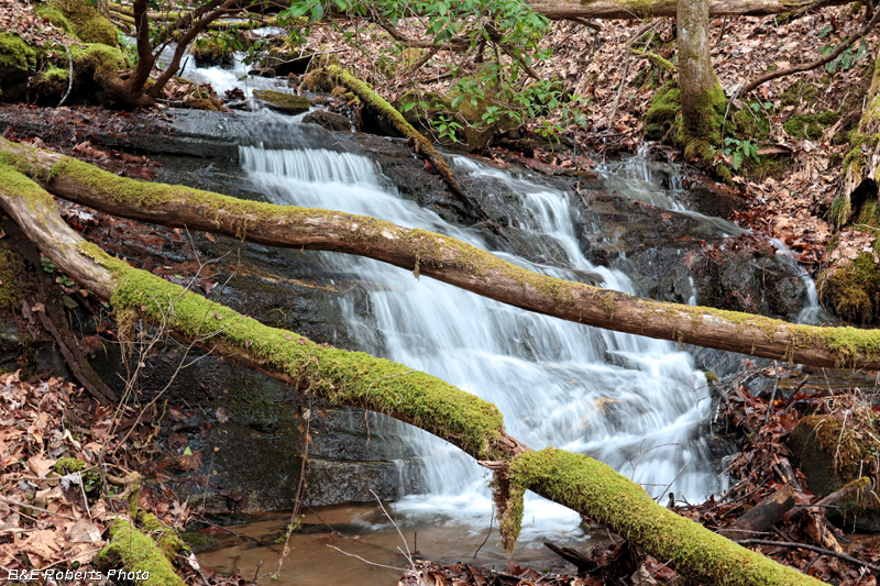 Bell_Creek_cascade