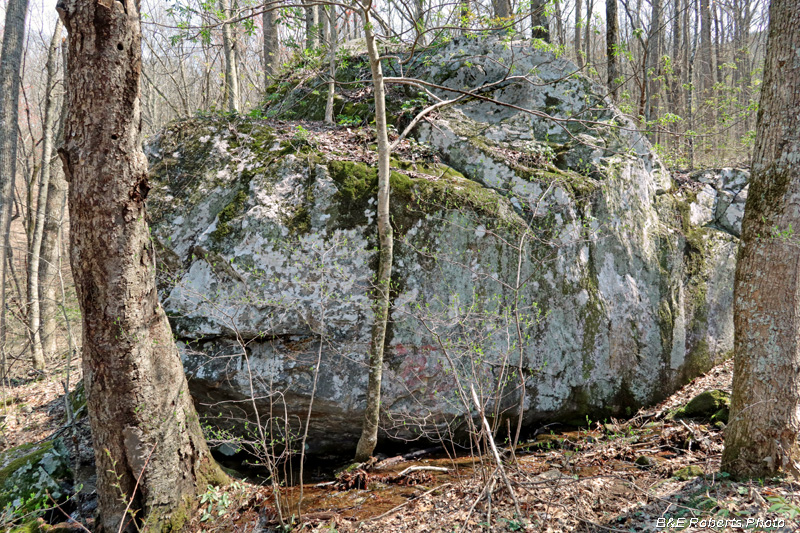 Turtle_head_rock