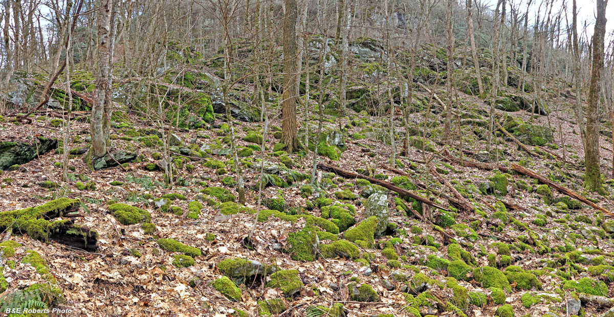 Boulder-fields