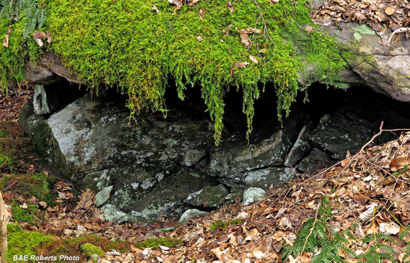 Mossy_overhang