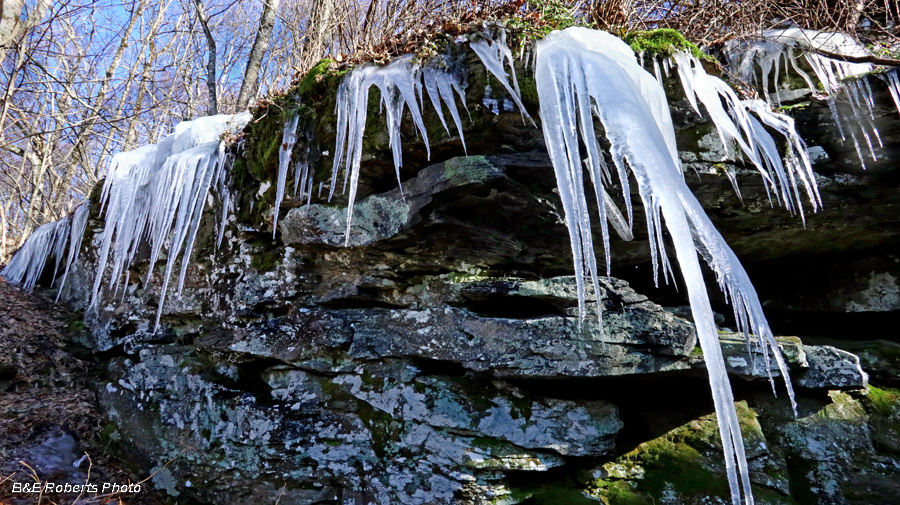 Icicles