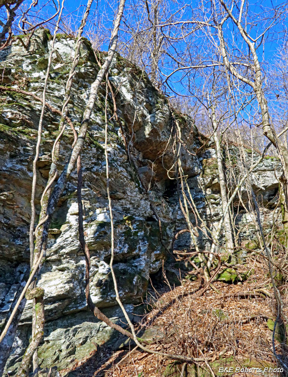 Cliff_face