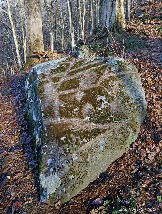 Petroglyph_Rock