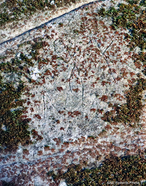 Petroglyph_Rock-recent_scrawl