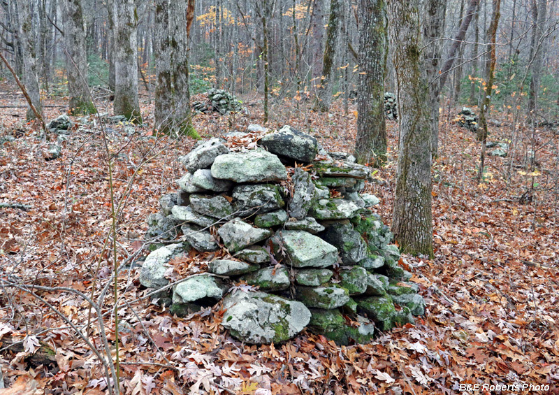 Rock_Piles