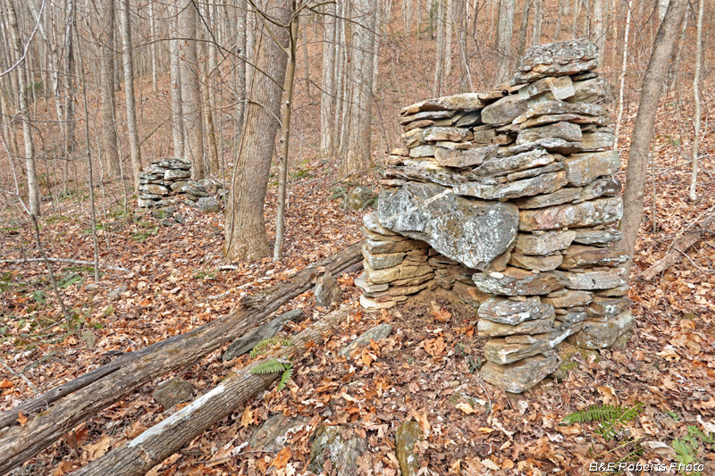 Chimneys_1_and_2