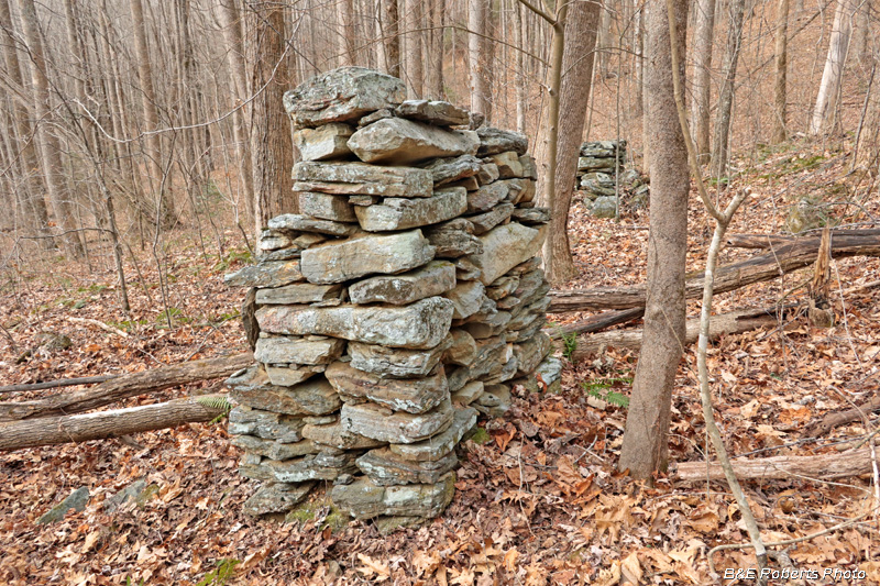 Chimneys_1_and_2