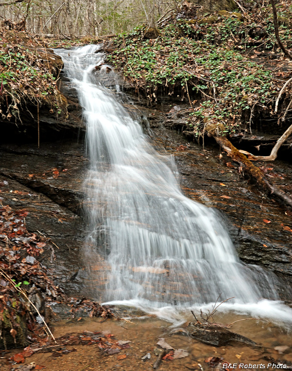 Maney_trib_Falls