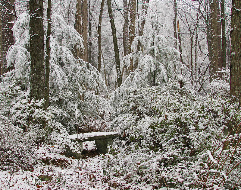 Snow_front_yard