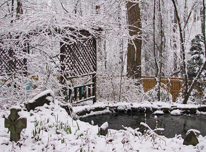 Arbor and pond