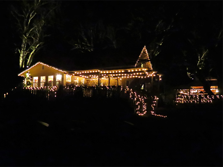 Winery_Lights