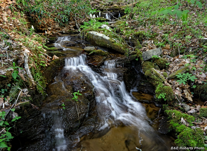 Cascade