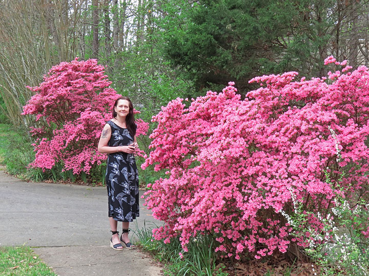 Azaleas