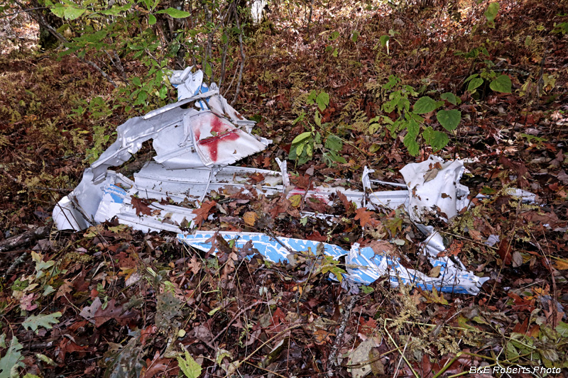 Cessna_wreckage