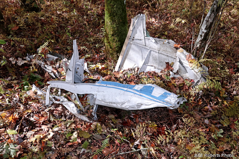 Cessna_wreckage