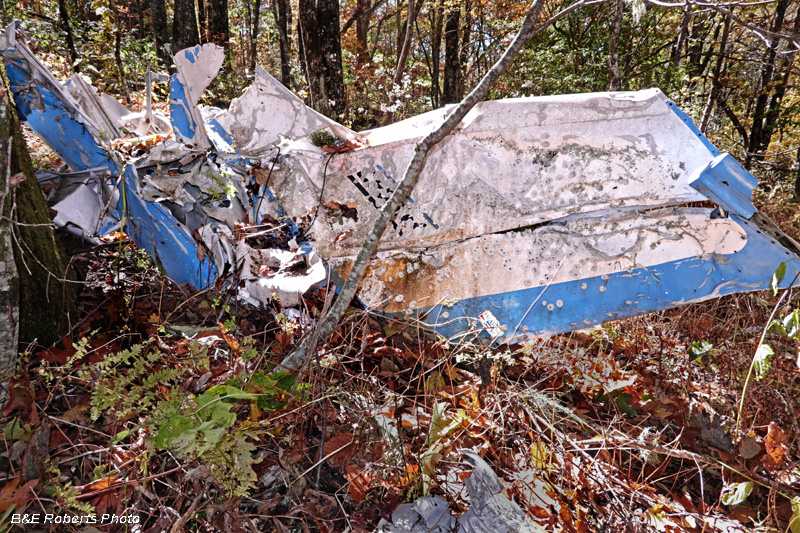 Cessna_wreckage