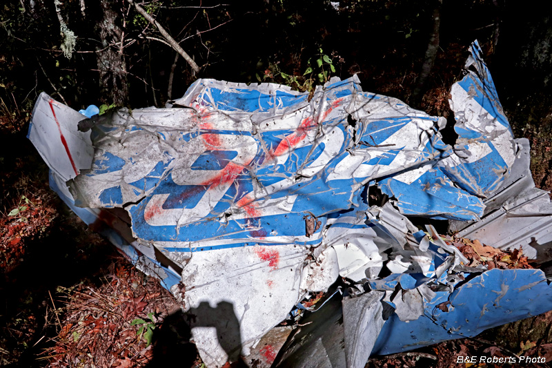 Cessna_wreckage