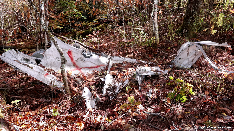 Cessna_wreckage