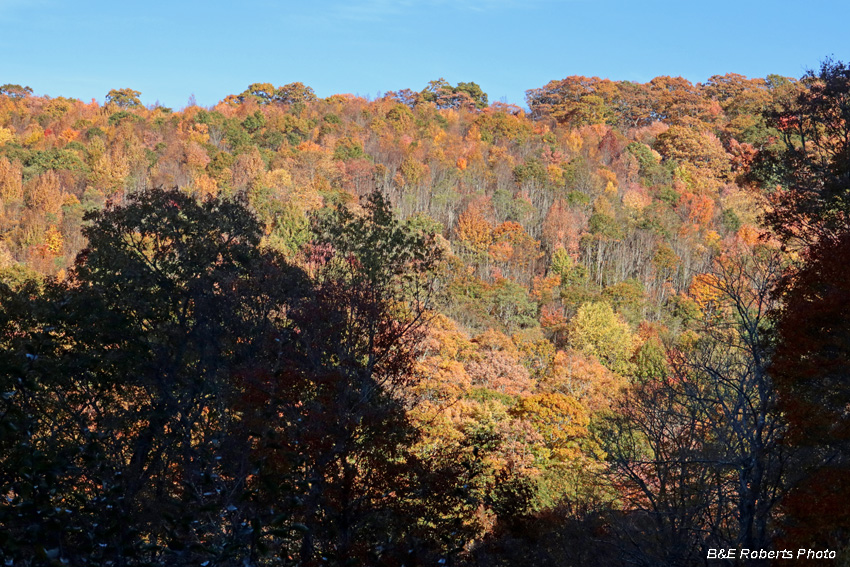 Deep_Gap_foliage