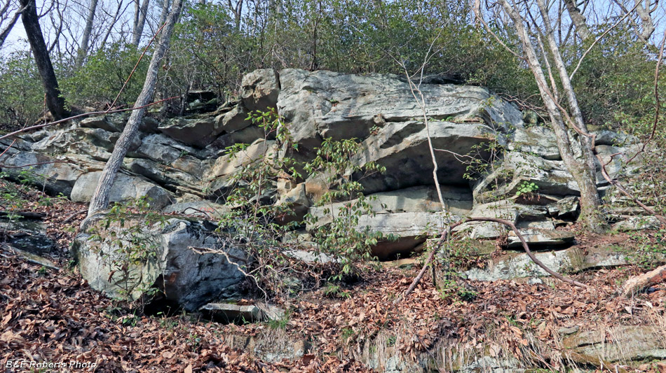 Rock_outcrops