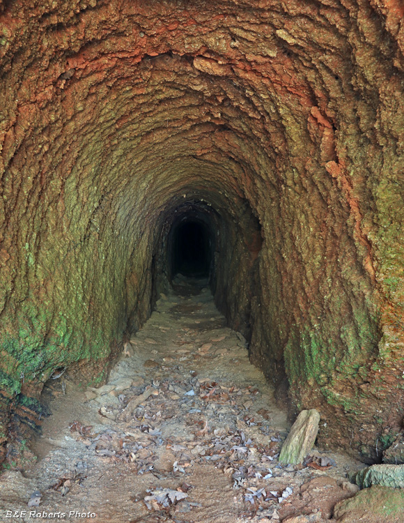 Tunnel_entry
