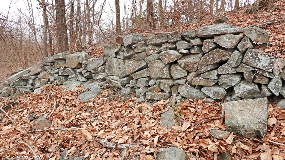 Rock_wall