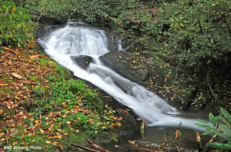 Lwr_Persimmon_trib_falls