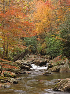 Tallulah_Gorge