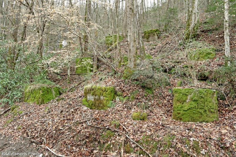 Lwr_Conveyor_Ftgs