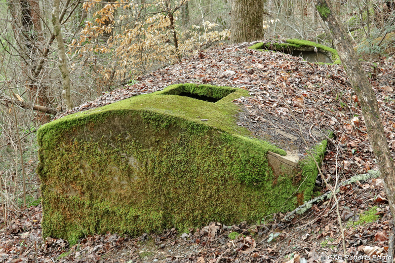 McFarland_Cistern