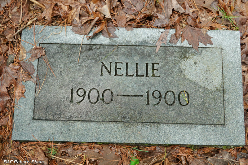 Nellie