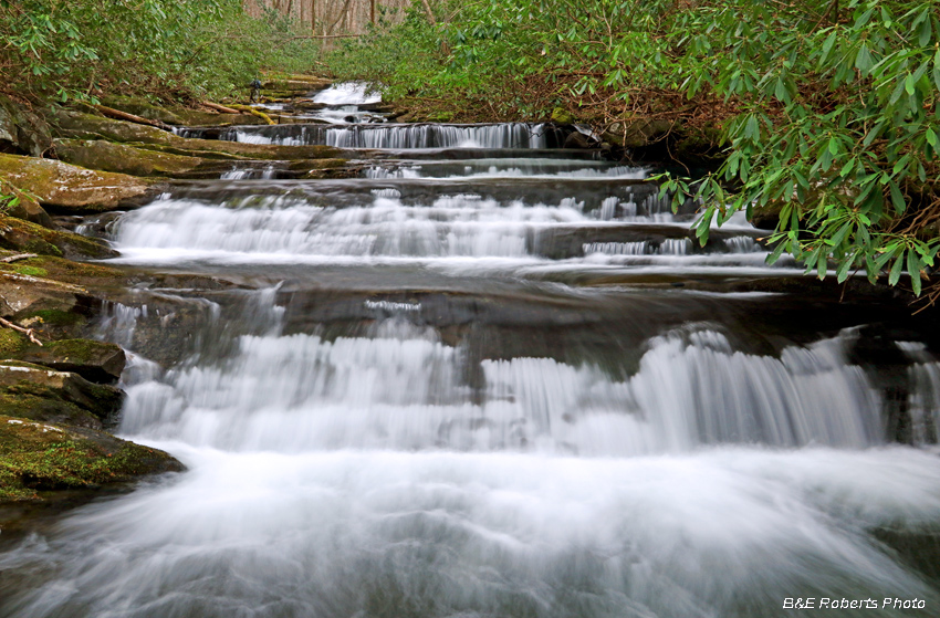 Meadow_Br_cascades