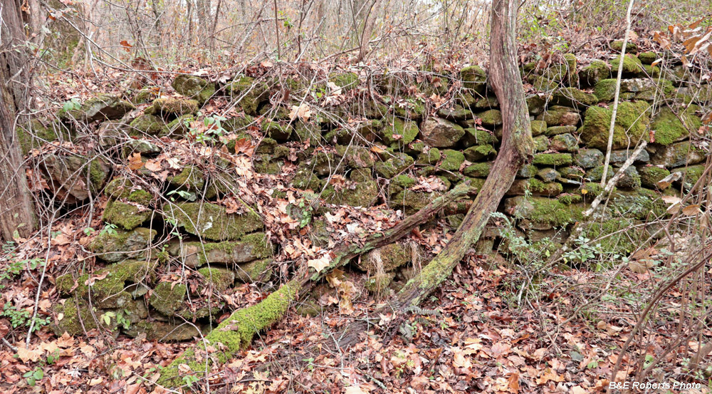 Swanson_Mill-wall