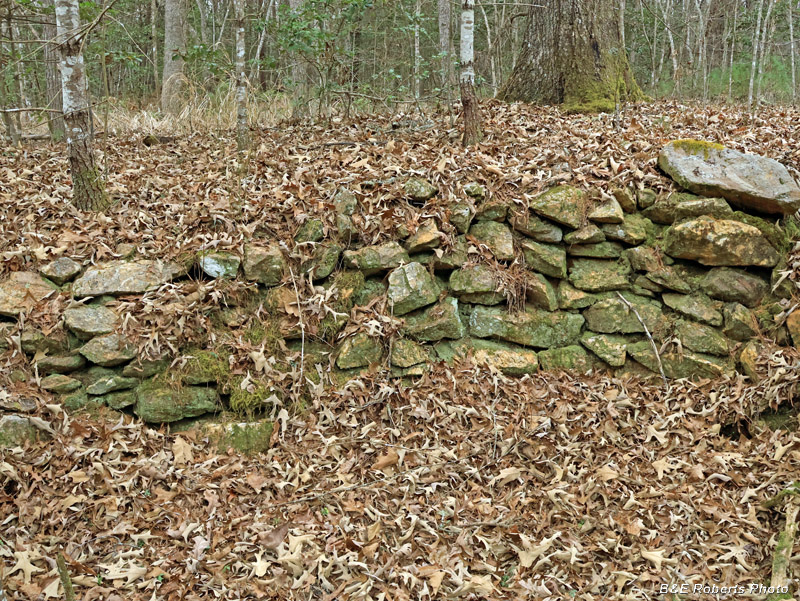 Homesite_wall