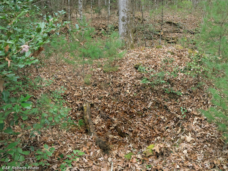 Cellar_Chimney_and_Wall