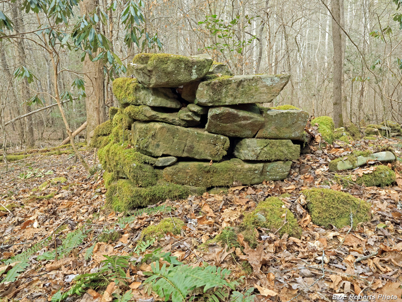 West_chimney