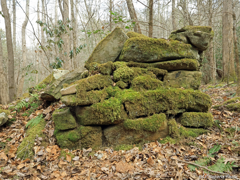 West_chimney