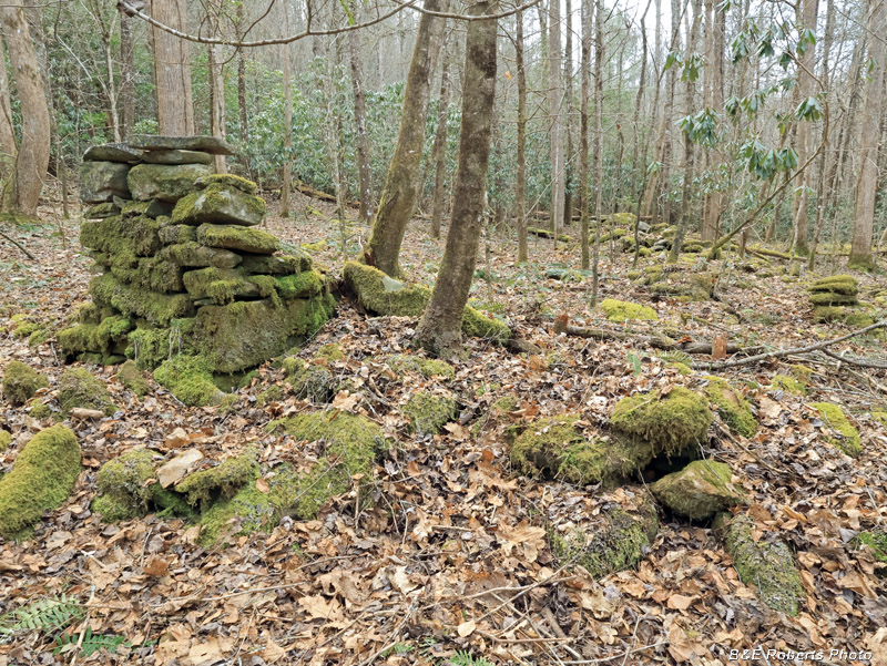 East_chimney