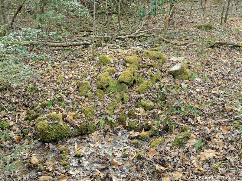 Collapsed_springhouse