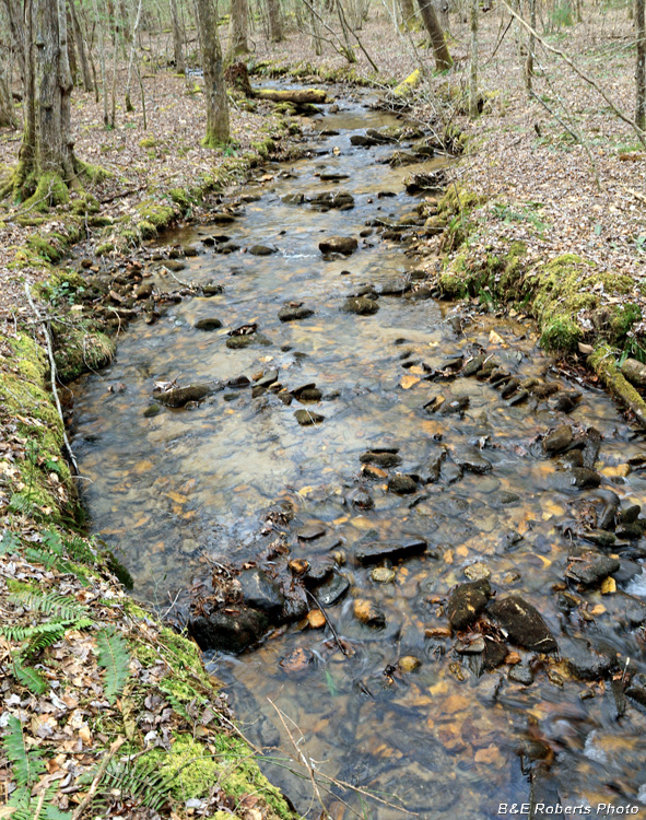 Creek