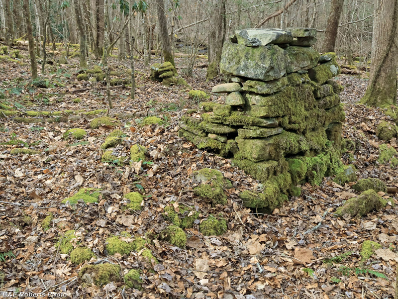 East_Chimney