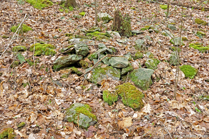 Stone_pile_wall