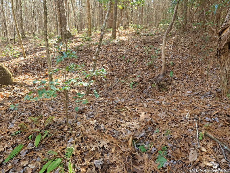 Smaller_prospect_pit