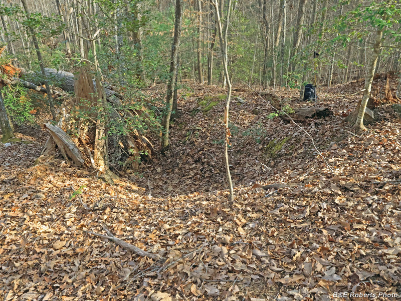 Pit_1