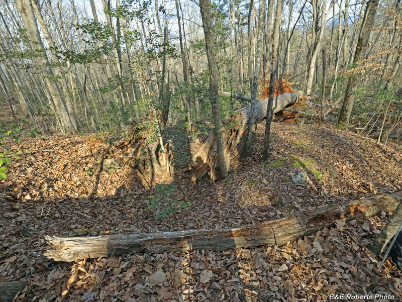 Pit_1_and_deadfall