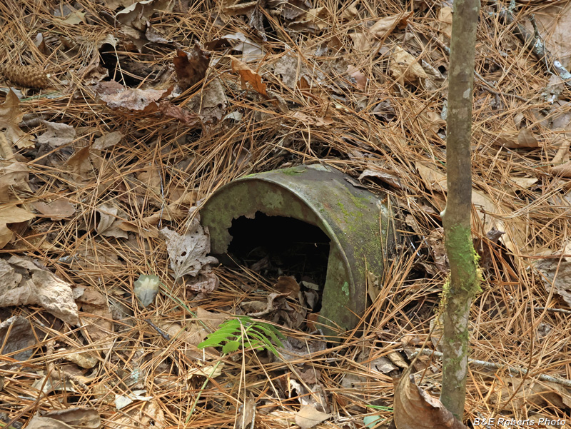 Barrel_in_pit