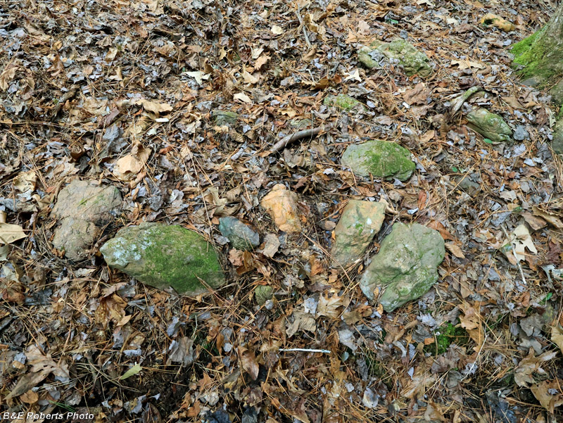 Creekside_rocks-still