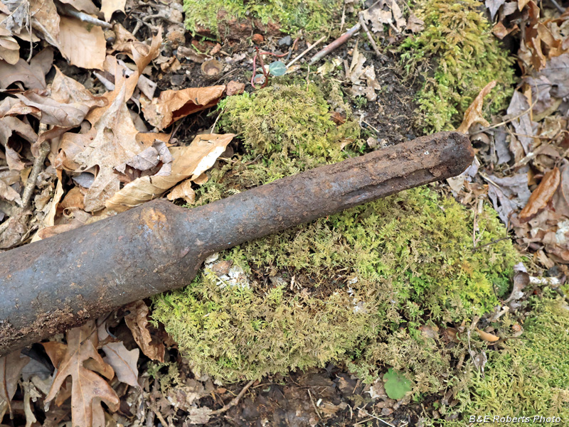Drive_shaft