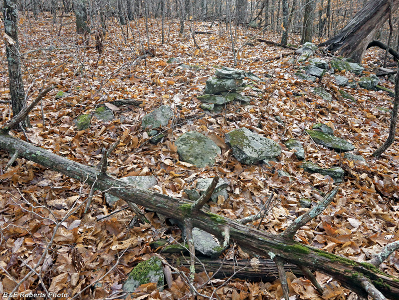 Chimney_Rock_pile