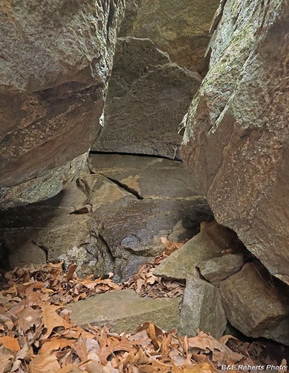 Rock_Crevice